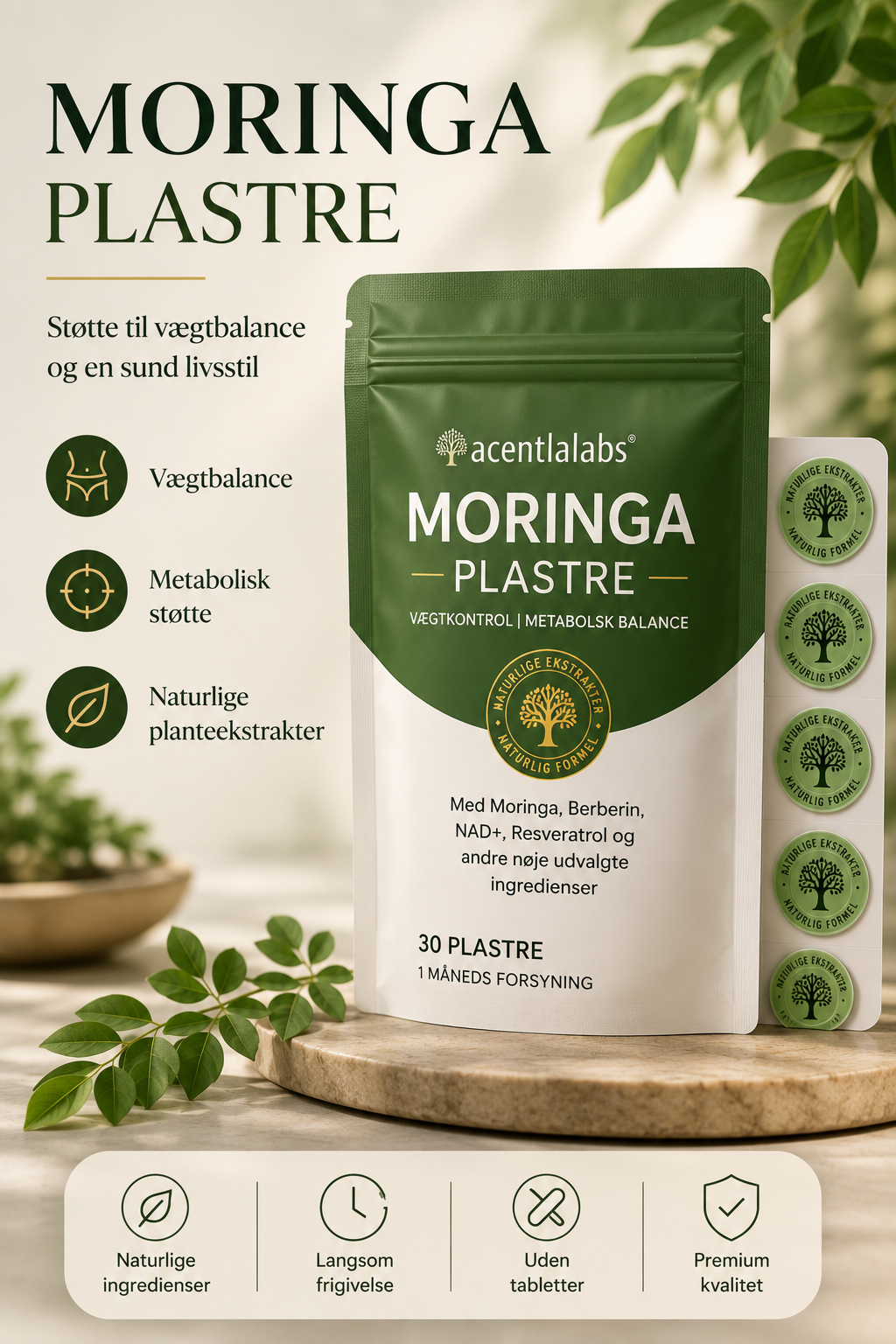 Moringa plastre støtte til vægttab 30 stk